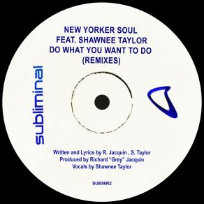 Do What You Want To Do (Remixes) album cover
