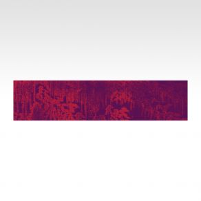 Virtual Shrine album cover