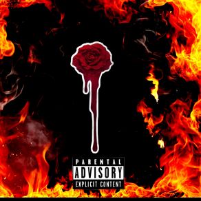 Del Fuego album cover