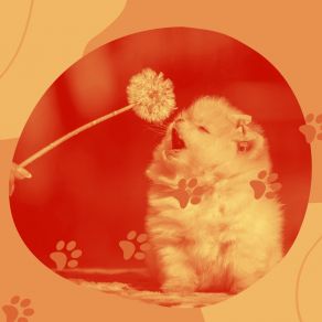 Feelings For Calming Puppies album cover