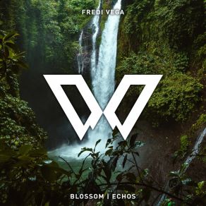 Blossom / Echos album cover