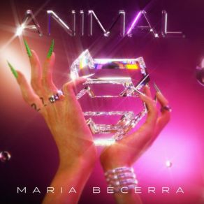 Animal album cover