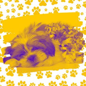 Dream-Like Bossa Trombone - Bgm For Calming Dogs album cover