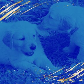 Music For Calming Puppies - Deluxe Bossanova album cover