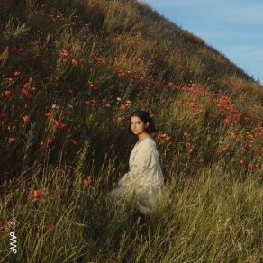 Imaginary Gardens album cover
