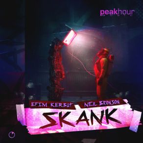 Skank album cover