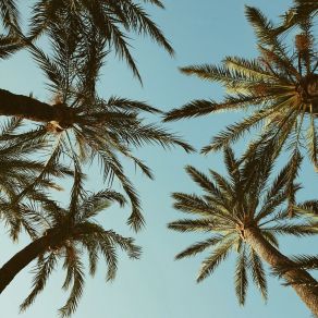Summer Days album cover
