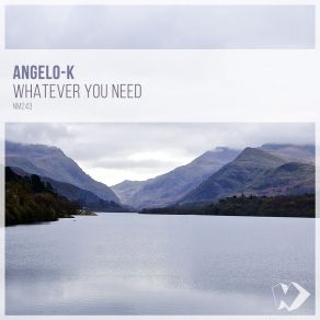 Whatever You Need (Maxi-Single) album cover