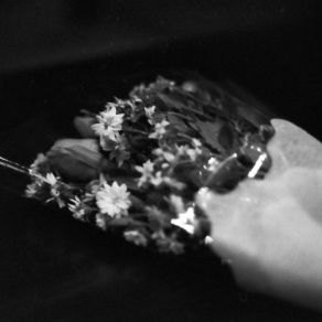 War Bride album cover