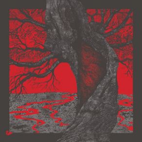 Death Weight album cover