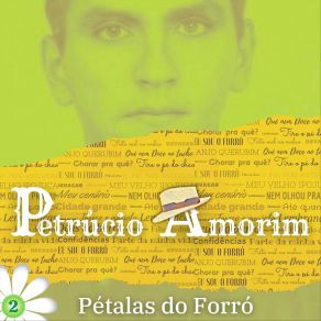 Pétalas Do Forró: 2 album cover