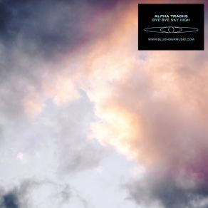 Bye Bye Sky High album cover