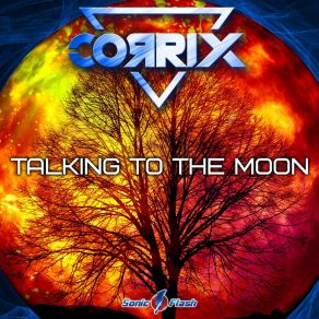 Talking To The Moon album cover