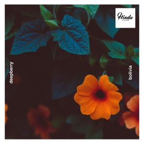Bolivia album cover