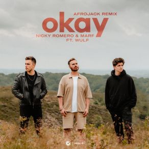 Okay (Afrojack Remix) album cover