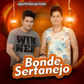 Liguei Pra Dizer Que Te Amo album cover