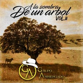 A La Sombra De Un Árbol, Vol. II (En Vivo) album cover