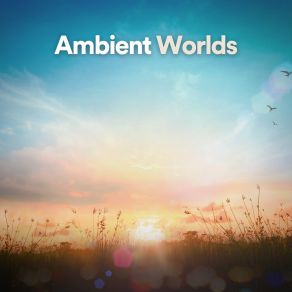 Ambient Worlds album cover