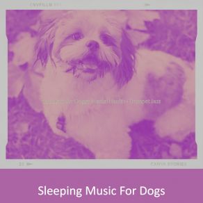 Backdrop For Doggy Mental Health - Trumpet Jazz album cover