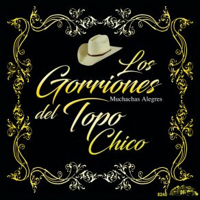 Muchachas Alegres (Instrumental) album cover