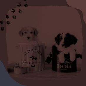 Music For Sleepy Pups (Bossanova) album cover