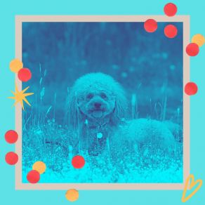 Music For Keeping Your Dog Happy album cover