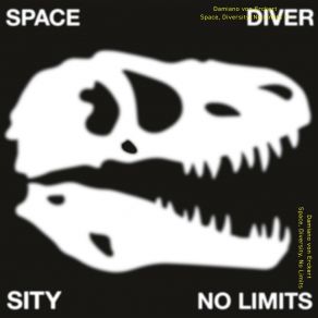 Space, Diversity, No Limits album cover
