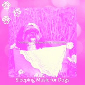 Scintillating Background For Sleepy Pups album cover