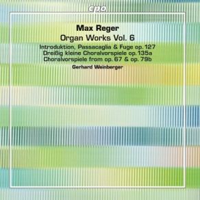 Reger - Organ Works Vol. 6 - Gerhard Weinberger album cover
