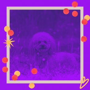 Relaxing Music For Doggy Wellness - Bossanova album cover