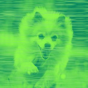 Backdrop For Serene Puppies album cover