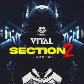 Section 2 / Hard Artifacts album cover