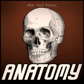 A N A T O M Y album cover