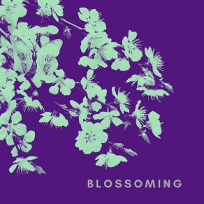 Blossoming album cover