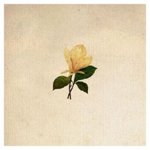 The Grand Magnolias album cover