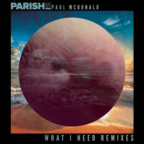 What I Need (Remixes) (Feat. Parish F T) album cover