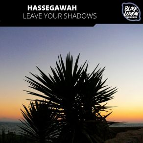 Leave Your Shadows album cover