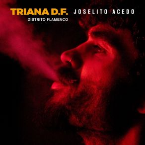 Triana D. F. - Distrito Flamenco album cover