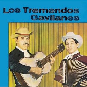 Vuelve Mi Amor album cover
