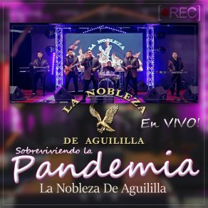 Sobreviviendo La Pandemia album cover