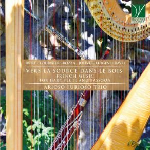 Ibert, Tournier, Bozza, Jolivet, Luigini, Ravel: Vers La Source Dans Le Bois (French Music For Harp, Flute And Bassoon) album cover