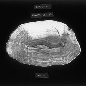 Paino (Single) album cover