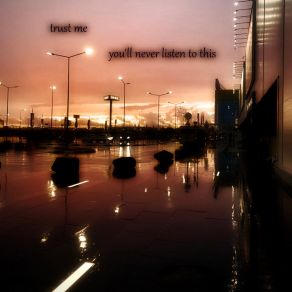 You'll Never Listen To This album cover