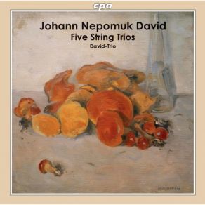 Johann Nepomuk David: Five String Trios album cover