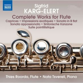 Karg-Elert - Complete Works For Flute - Thies Roorda, Nata Tsvereli album cover