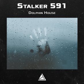 Dolphin House album cover