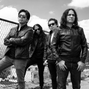 Manual De Supervivencia album cover
