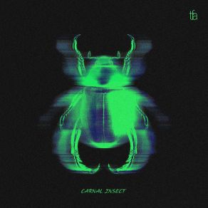 Carnal Insect album cover