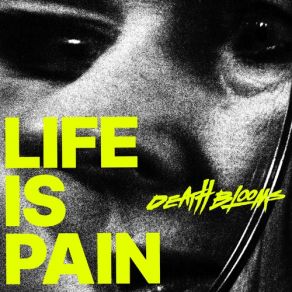 Life Is Pain album cover