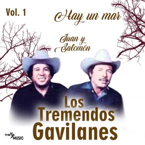 Hay Un Mar album cover